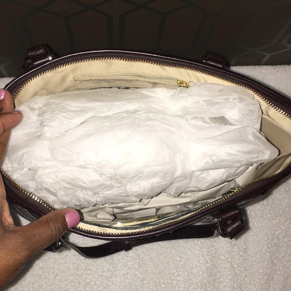 Brahmin - Picture 4 of 6